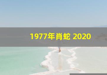 1977年肖蛇 2020